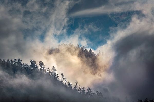 Jones, Adam 아티스트의 Mist and sunlight in the mountains-Great Smoky Mountain National Park-Tennessee작품입니다.